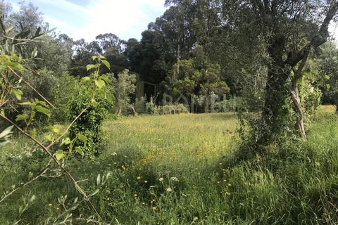 Grond in Valenca, Viana do Castelo, Valenca - € 60.000 | Ref: B2114 - foto 6