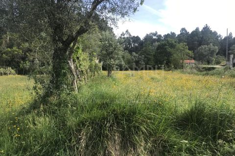 Grond in Valenca, Viana do Castelo, Valenca - € 60.000 | Ref: B2114 - foto 7