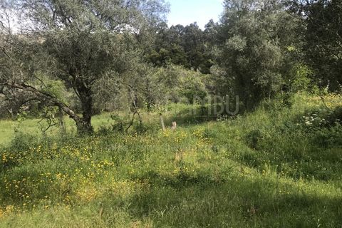Grond in Valenca, Viana do Castelo, Valenca - € 60.000 | Ref: B2114 - foto 8