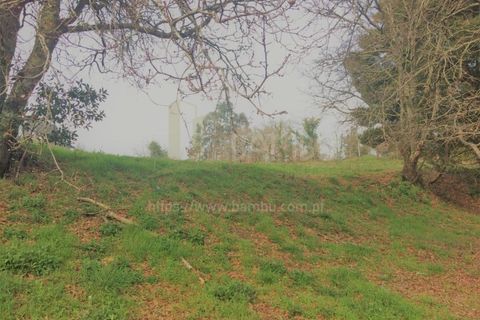 Terra a Caminha, Viana do Castelo, Caminha - € 200.000 | Ref: B2505 - foto 2