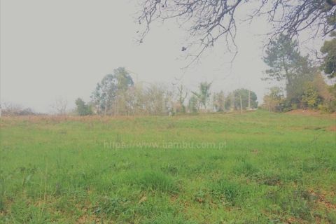 Terra a Caminha, Viana do Castelo, Caminha - € 200.000 | Ref: B2505 - foto 3