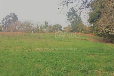 Terra a Caminha, Viana do Castelo, Caminha - € 200.000 | Ref: B2505 - foto 5