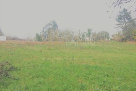 Terra a Caminha, Viana do Castelo, Caminha - € 200.000 | Ref: B2505 - foto 6