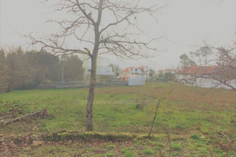 Terra a Caminha, Viana do Castelo, Caminha - € 200.000 | Ref: B2505 - foto 7