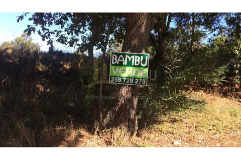 Terra a Caminha, Viana do Castelo, Caminha - € 200.000 | Ref: B2505 - foto 8