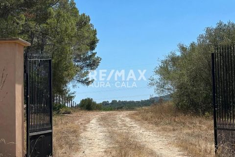 Finca a Manacor, Mallorca, Manacor - € 220.000 | Ref: 2423 - foto 2