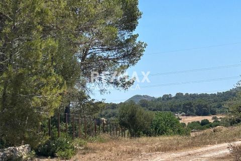 Finca a Manacor, Mallorca, Manacor - € 220.000 | Ref: 2423 - foto 3