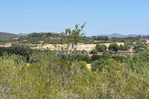 Finca a Manacor, Mallorca, Manacor - € 220.000 | Ref: 2423 - foto 4