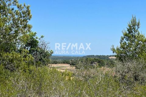Finca a Manacor, Mallorca, Manacor - € 220.000 | Ref: 2423 - foto 5