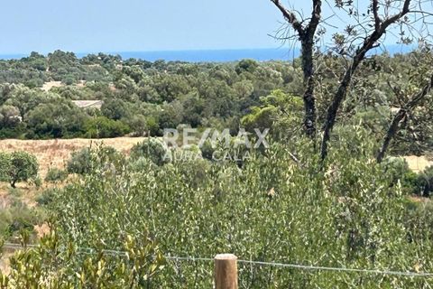 Finca a Manacor, Mallorca, Manacor - € 220.000 | Ref: 2423 - foto 6