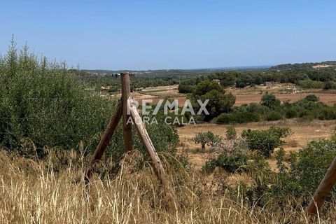 Finca a Manacor, Mallorca, Manacor - € 220.000 | Ref: 2423 - foto 8