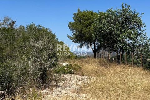 Finca a Manacor, Mallorca, Manacor - € 220.000 | Ref: 2423 - foto 9
