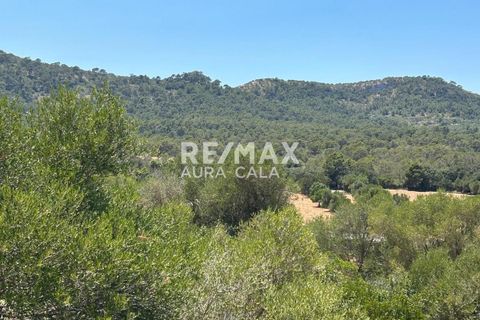Finca a Manacor, Mallorca, Manacor - € 220.000 | Ref: 2423 - foto 10