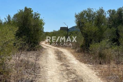 Finca a Manacor, Mallorca, Manacor - € 220.000 | Ref: 2423 - foto 11