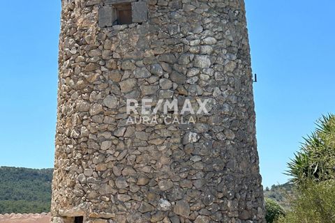 Finca a Manacor, Mallorca, Manacor - € 220.000 | Ref: 2423 - foto 12