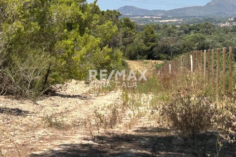 Finca a Manacor, Mallorca, Manacor - € 220.000 | Ref: 2423 - foto 13