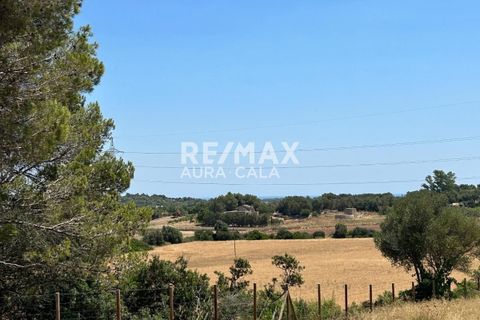 Finca a Manacor, Mallorca, Manacor - € 220.000 | Ref: 2423 - foto 14