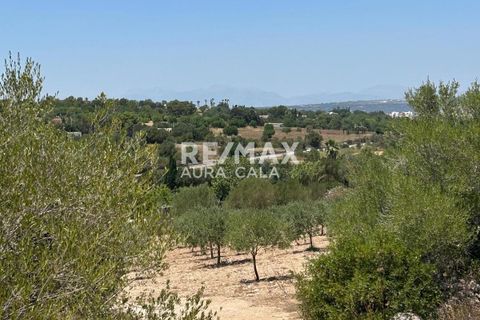 Finca a Manacor, Mallorca, Manacor - € 220.000 | Ref: 2423 - foto 15