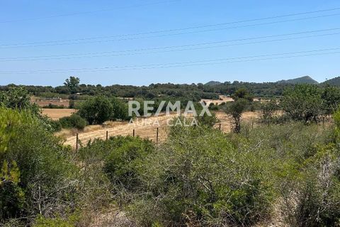 Finca a Manacor, Mallorca, Manacor - € 220.000 | Ref: 2423 - foto 16