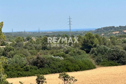 Finca a Manacor, Mallorca, Manacor - € 220.000 | Ref: 2423 - foto 17