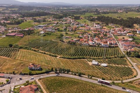 Granja a Anadia, Aveiro, Anadia - € 1.000.000 | Ref: LUX_CB-01524 - foto 2