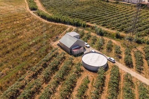 Granja a Anadia, Aveiro, Anadia - € 1.000.000 | Ref: LUX_CB-01524 - foto 5