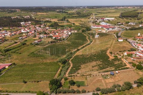Granja a Anadia, Aveiro, Anadia - € 1.000.000 | Ref: LUX_CB-01524 - foto 6