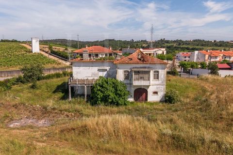 Granja a Anadia, Aveiro, Anadia - € 1.000.000 | Ref: LUX_CB-01524 - foto 10