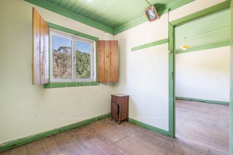Villa a Pombal, Leiria, Pombal - € 90.000 | Ref: LUX_CB-01181 - foto 11