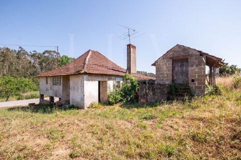 Villa a Pombal, Leiria, Pombal - € 90.000 | Ref: LUX_CB-01181 - foto 16