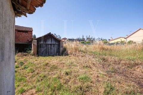 Villa a Pombal, Leiria, Pombal - € 90.000 | Ref: LUX_CB-01181 - foto 18