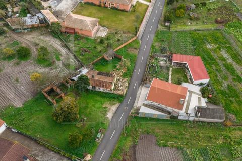 Villa in Cantanhede, Coimbra, Cantanhede - € 55.000 | Ref: LUX_CB-01222 - foto 5