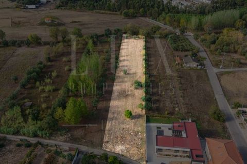 Helårsgrund i Mealhada, Aveiro, Mealhada - € 55.000 | Ref: LUX_CB-01093 - foto 11