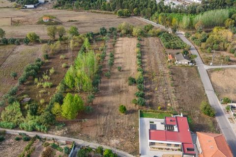 Helårsgrund i Mealhada, Aveiro, Mealhada - € 55.000 | Ref: LUX_CB-01093 - foto 12