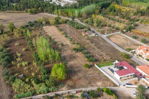Helårsgrund i Mealhada, Aveiro, Mealhada - € 55.000 | Ref: LUX_CB-01093 - foto 13