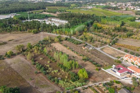 Helårsgrund i Mealhada, Aveiro, Mealhada - € 55.000 | Ref: LUX_CB-01093 - foto 14
