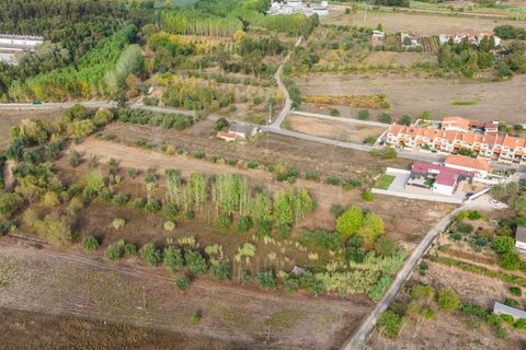 Helårsgrund i Mealhada, Aveiro, Mealhada - € 55.000 | Ref: LUX_CB-01093 - foto 16