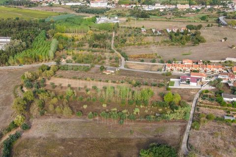 Helårsgrund i Mealhada, Aveiro, Mealhada - € 55.000 | Ref: LUX_CB-01093 - foto 17