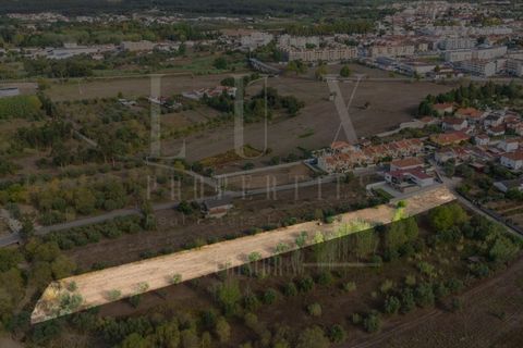 Helårsgrund i Mealhada, Aveiro, Mealhada - € 55.000 | Ref: LUX_CB-01093 - foto 19