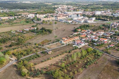 Helårsgrund i Mealhada, Aveiro, Mealhada - € 55.000 | Ref: LUX_CB-01093 - foto 20