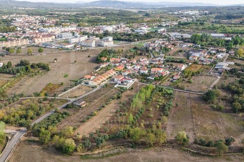 Helårsgrund i Mealhada, Aveiro, Mealhada - € 55.000 | Ref: LUX_CB-01093 - foto 22