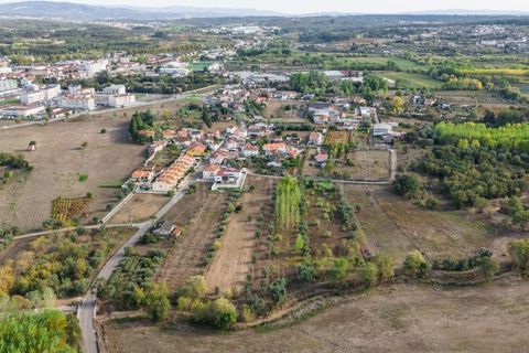 Helårsgrund i Mealhada, Aveiro, Mealhada - € 55.000 | Ref: LUX_CB-01093 - foto 23