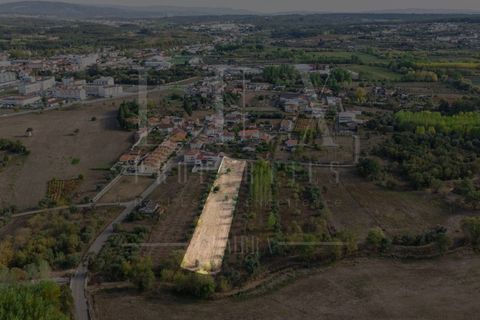 Helårsgrund i Mealhada, Aveiro, Mealhada - € 55.000 | Ref: LUX_CB-01093 - foto 24