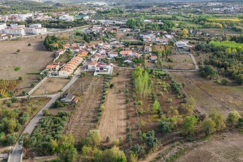 Helårsgrund i Mealhada, Aveiro, Mealhada - € 55.000 | Ref: LUX_CB-01093 - foto 25