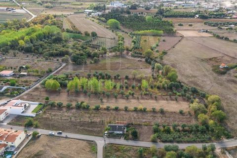 Helårsgrund i Mealhada, Aveiro, Mealhada - € 55.000 | Ref: LUX_CB-01093 - foto 27