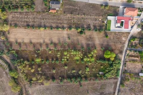 Helårsgrund i Mealhada, Aveiro, Mealhada - € 55.000 | Ref: LUX_CB-01093 - foto 28