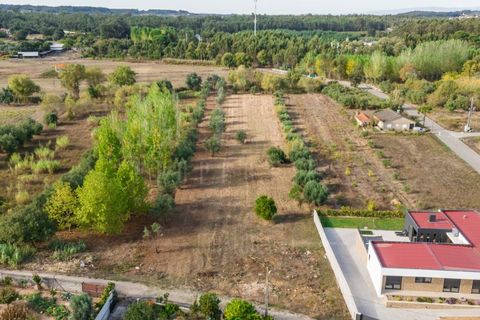 Helårsgrund i Mealhada, Aveiro, Mealhada - € 55.000 | Ref: LUX_CB-01093 - foto 29