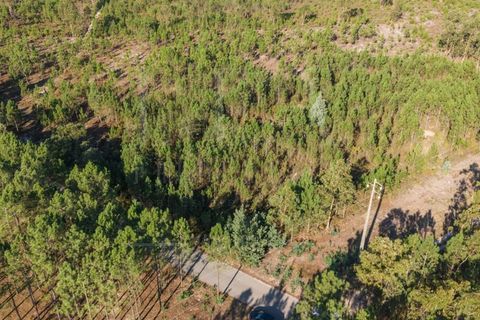 Grond in Cantanhede, Coimbra, Cantanhede - € 35.000 | Ref: LUX_CB-00746 - foto 3
