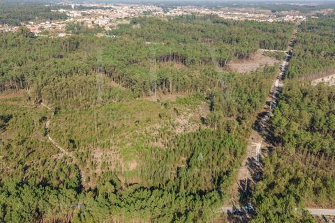 Grond in Cantanhede, Coimbra, Cantanhede - € 35.000 | Ref: LUX_CB-00746 - foto 6
