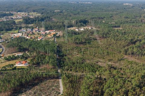 Grond in Cantanhede, Coimbra, Cantanhede - € 35.000 | Ref: LUX_CB-00746 - foto 18